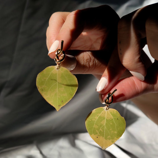 Aspen Leaf Stud Earrings